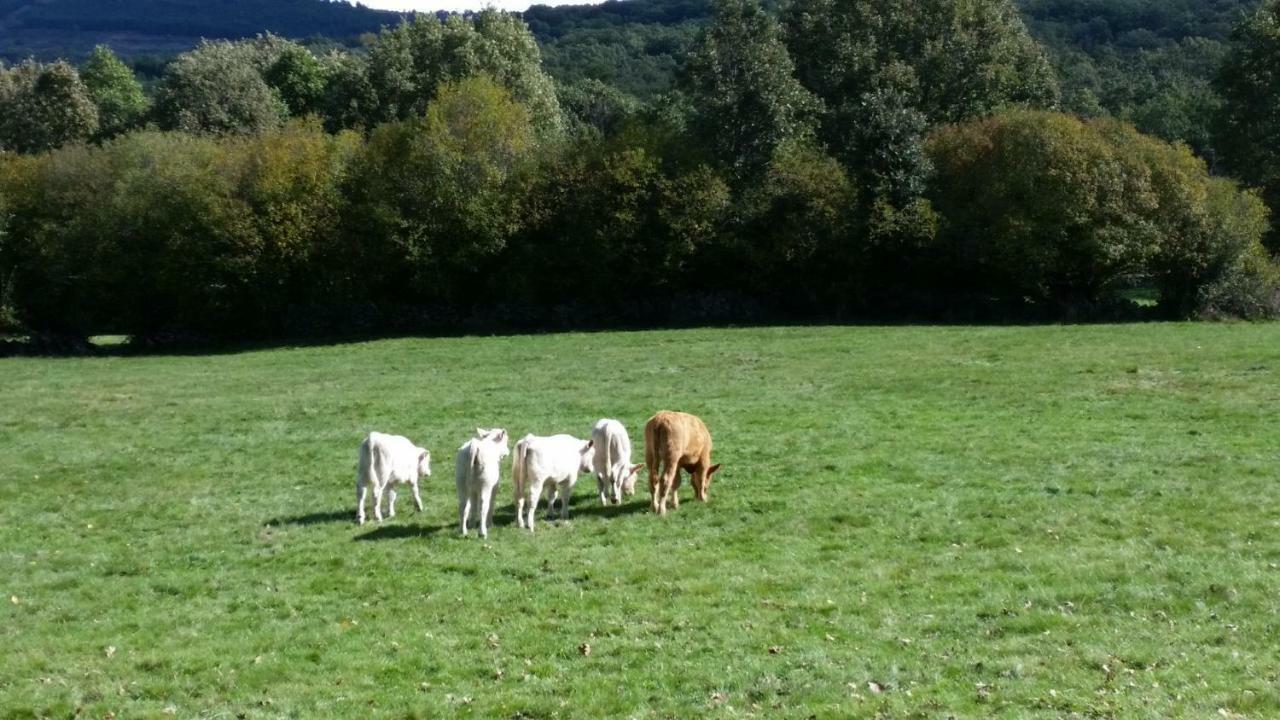 Holiday home Loboratorio Rural-cuenta Hasta 3 Umbrias
